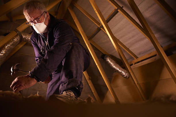Best Insulation Installation Services in Enoch, UT